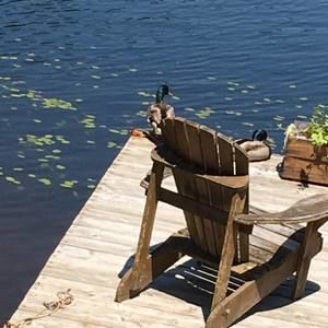 Meet your Posher, Lise